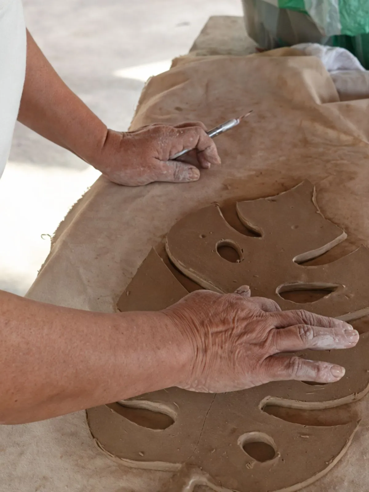 Proceso: Crear, Fallar y Transformar